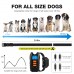 YOUKUKE Dog Training Collar USB Rechargeable 3 Working Modes Waterproof  300M Remote Control