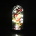 YOUKUKE 3 Eternally Preserved Red Rose Artificial Flower in Dome Glass