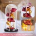 YOUKUKE 3 Eternally Preserved Red Rose Artificial Flower in Dome Glass